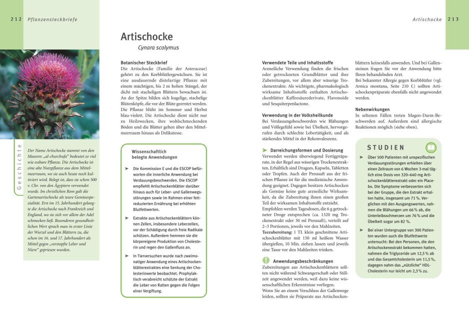 InsideView 6