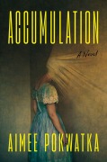 Cover-Bild zum Titel 'Accumulation' von 'Aimee Pokwatka'