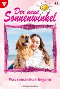 Cover-Bild zum Titel 'Was romantisch begann' von 'Michaela Dornberg'
