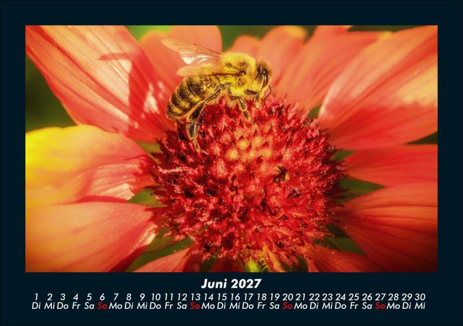 InsideView 10