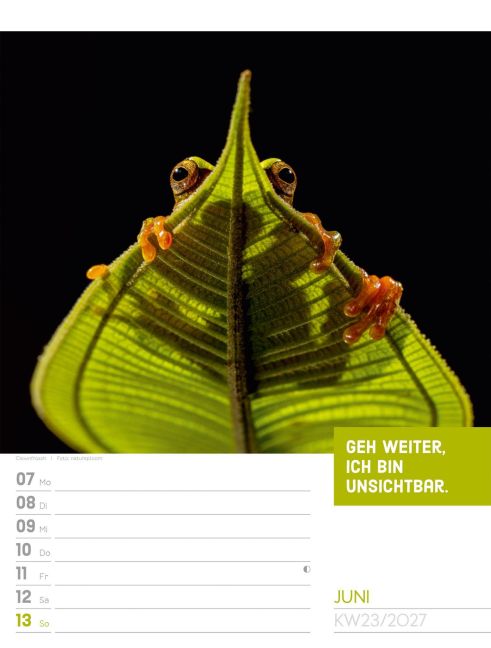 InsideView 27