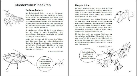 InsideView 3