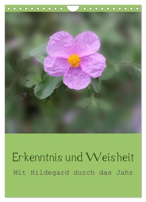 Erkenntnis und Weisheit - Hildegard von Bingen (Wandkalender 2026 DIN A4 hoch), CALVENDO Monatskalender - Christine Bergmann