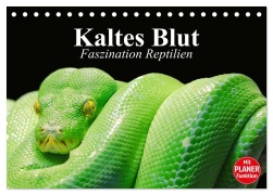 Cover-Bild zum Titel 'Kaltes Blut. Faszination Reptilien (Tischkalender 2026 DIN A5 quer), CALVENDO Monatskalender' von 'Elisabeth Stanzer'