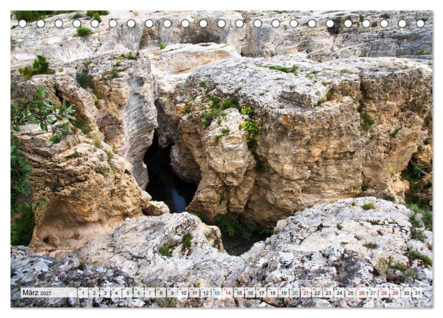 InsideView 8
