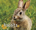 Rabbits - G. G. Lake