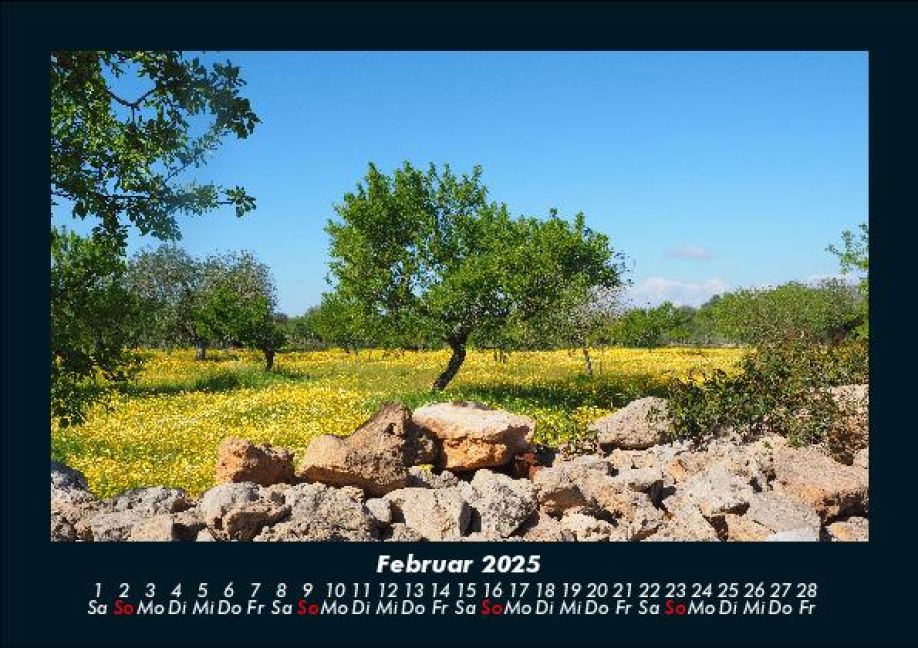 InsideView 6