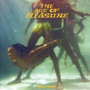 The Age Of Pleasure - Mon e. Janelle