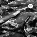 Of Desire - The Kvb