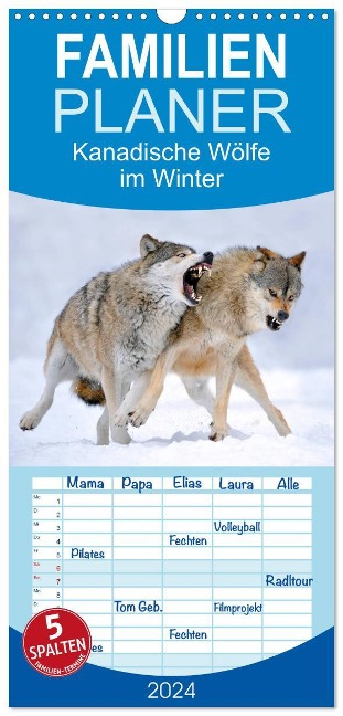 Familienplaner 2024 - Kanadische Wölfe im Winter mit 5 Spalten (Wandkalender, 21 x 45 cm) CALVENDO - Michael Weber