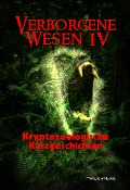 Cover-Bild zum Titel 'Verborgene Wesen IV' von 'Iolana Paedelt, Ralf Kor, Laura Noll, Detlef Klewer, Thorsten Schmidt'