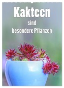 Cover-Bild zum Titel 'Kakteen sind besondere Pflanzen (Wandkalender 2026 DIN A2 hoch), CALVENDO Monatskalender' von 'Liselotte Brunner-Klaus'