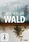 Der Wilde Wald - Natur Natur sein lassen - 