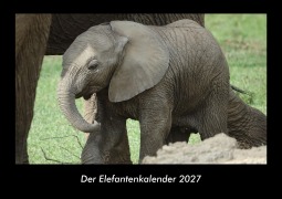 Cover-Bild zum Titel 'Der Elefantenkalender 2027 Fotokalender DIN A3' von 'Tobias Becker'