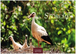 Cover-Bild zum Titel 'Störche Kalender 2027 - Wandkalender | Fotokalender Tierkalender 24x35cm - Inspirierende Storch-Motive für Natur- und Tierkalenderliebhaber.' von ''