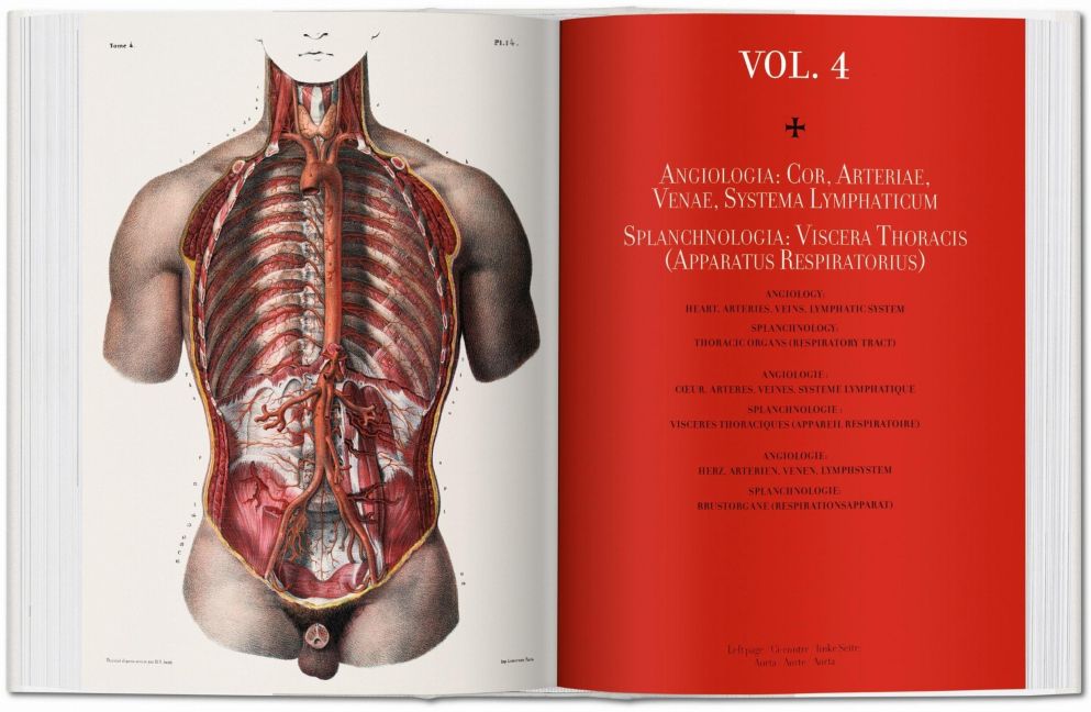 InsideView 3