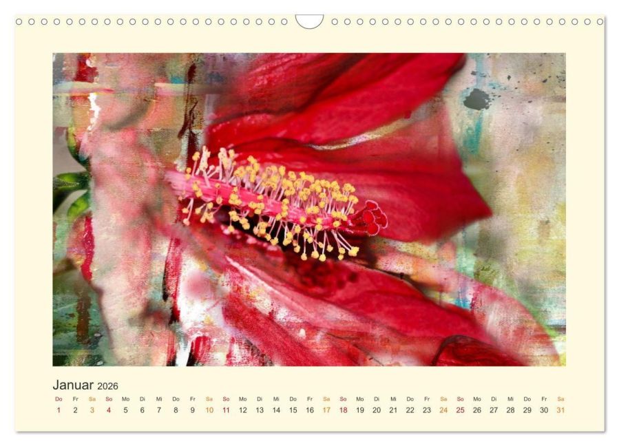 InsideView 6