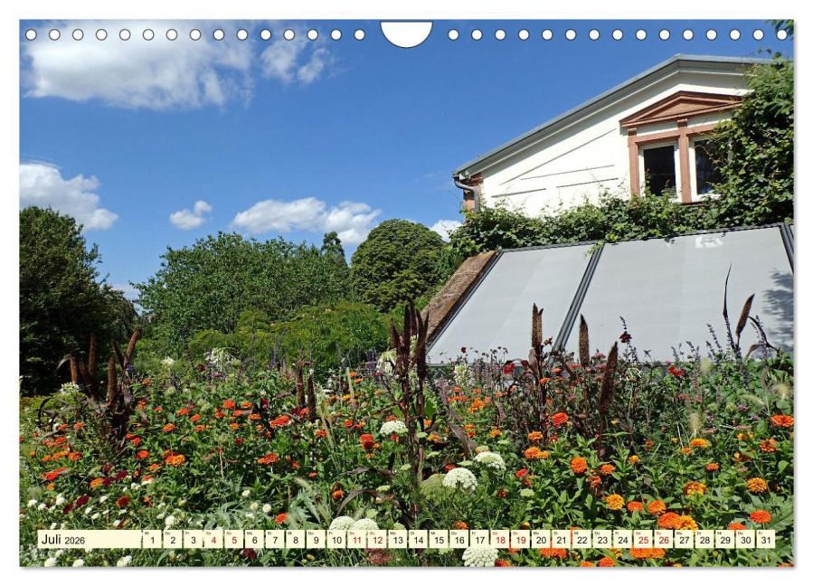 InsideView 12