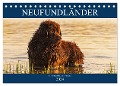 Neufundländer - Ein bärenstarker Freund (Tischkalender 2024 DIN A5 quer), CALVENDO Monatskalender - Sigrid Starick
