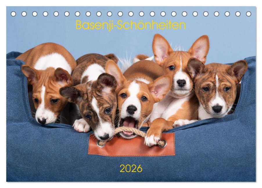 Basenji-Schönheiten (Tischkalender 2026 DIN A5 quer), CALVENDO Monatskalender - Angelika Joswig