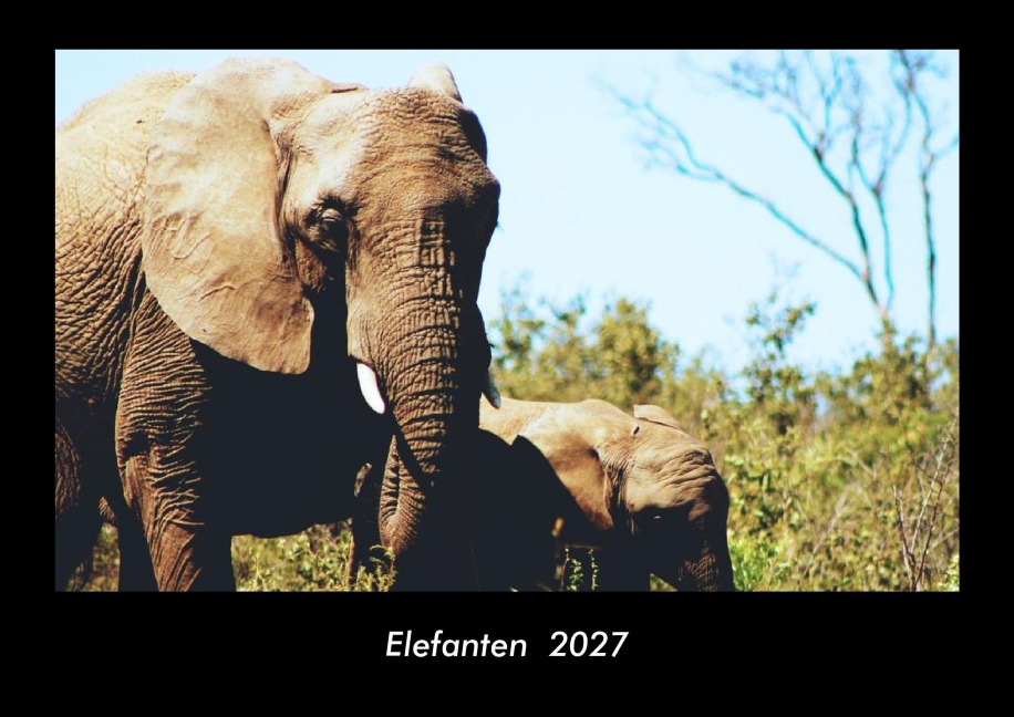 Elefanten  2027 Fotokalender DIN A3 - Tobias Becker