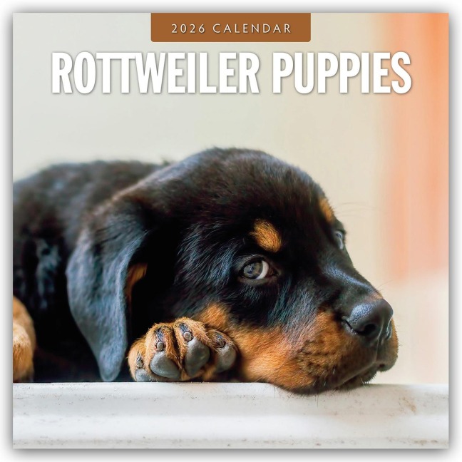 Rottweiler Puppies - Rottweiler Welpen 2026 - 16-Monatskalender - Robin Red