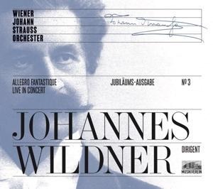 Allegro Fantastique - Johannes/Wiener Johann Strauss Orchester Wildner