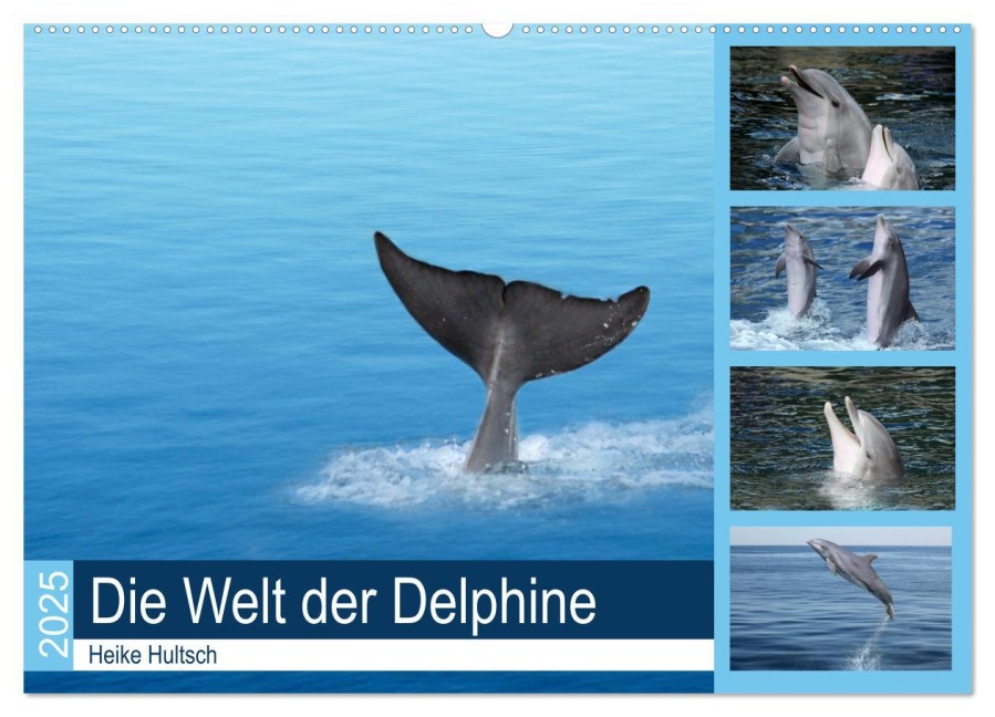 Die Welt der Delphine (Wandkalender 2025 DIN A2 quer), CALVENDO Monatskalender - Heike Hultsch