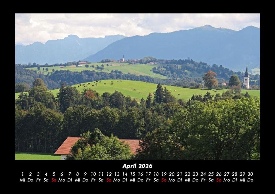 InsideView 8