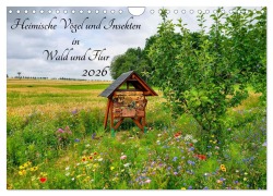 Cover-Bild zum Titel 'Heimische Vögel und Insekten in Wald und Flur (Wandkalender 2026 DIN A4 quer), CALVENDO Monatskalender' von 'Thilo Seidel'