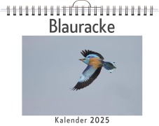 Cover-Bild zum Titel 'Blauracke' von 'Nele Braun'