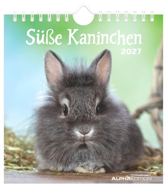 Süße Kaninchen 2027 - 