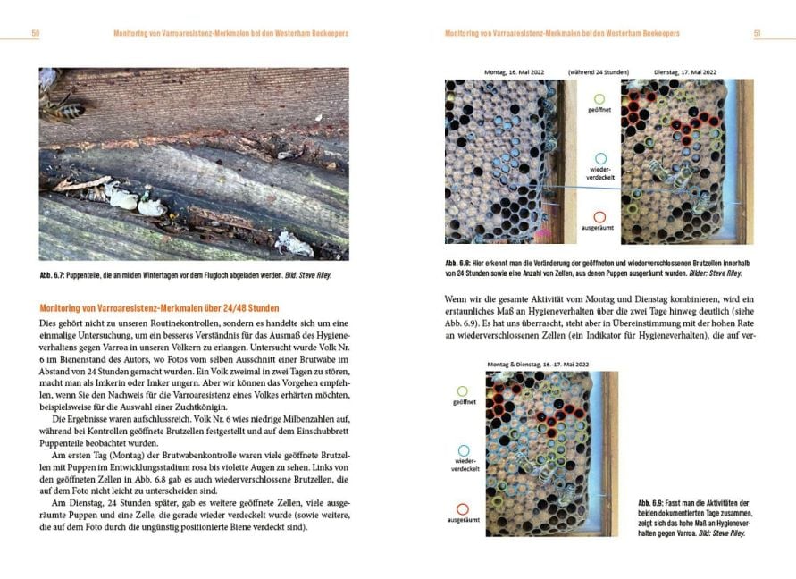 InsideView 3