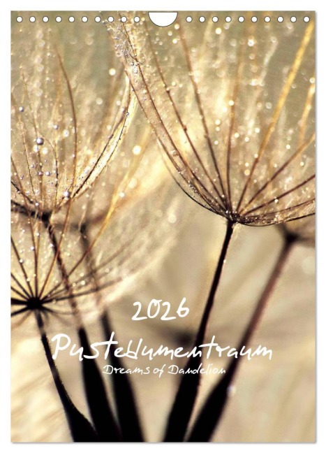 Pusteblumentraum - Dreams of Dandelion (Wandkalender 2026 DIN A4 hoch), CALVENDO Monatskalender - Julia Delgado