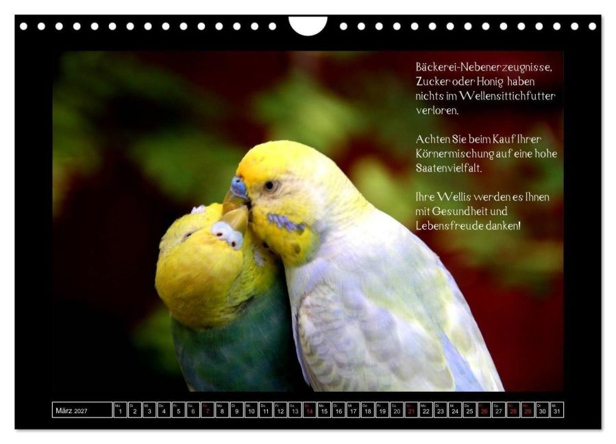InsideView 8