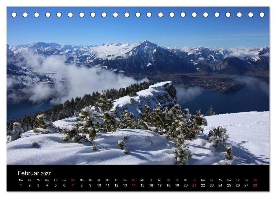 InsideView 4