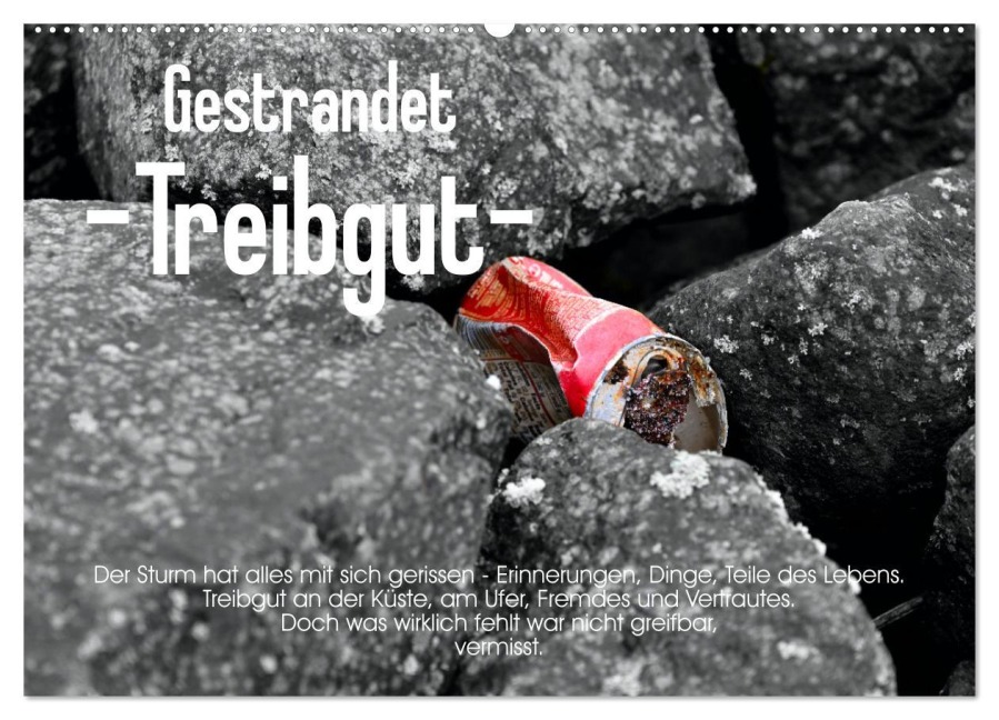 Gestrandet -Treibgut- (Wandkalender 2026 DIN A2 quer), CALVENDO Monatskalender - Ralf Mock