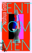 Cover-Bild zum Titel 'Entkommen' von 'Joshua Groß'