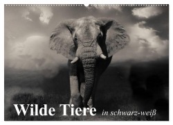 Wilde Tiere in schwarz-weiß (Wandkalender 2026 DIN A2 quer), CALVENDO Monatskalender - Elisabeth Stanzer