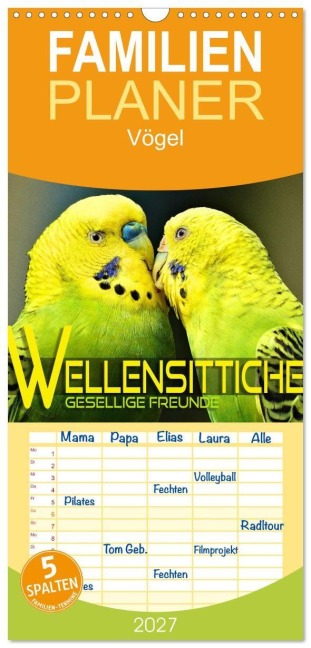 Familienplaner 2027 - Wellensittiche - gesellige Freunde mit 5 Spalten (Wandkalender, 21 x 45 cm) CALVENDO - Renate Utz