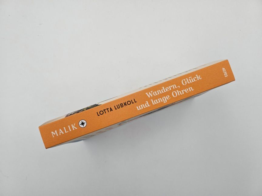 InsideView 4