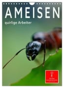 Cover-Bild zum Titel 'Ameisen quirlige Arbeiter (Wandkalender 2026 DIN A4 hoch), CALVENDO Monatskalender' von 'Peter Roder'