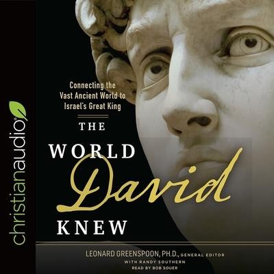 World David Knew Lib/E: Connecting the Vast Ancient World to Israel's Great King - Randy Southern, Haim Gitler