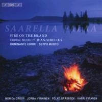 Saarella palaa-Feuer auf der Insel - Groop/Hynninen/Gräsbeck/Viitanen/Murto/Dominante C