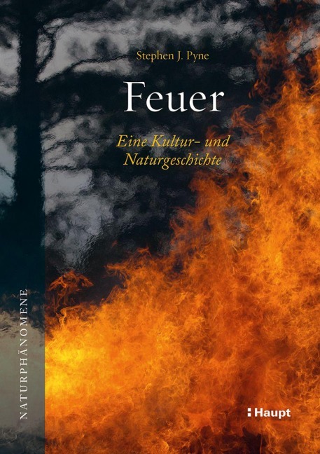 Feuer - Stephen J. Pyne