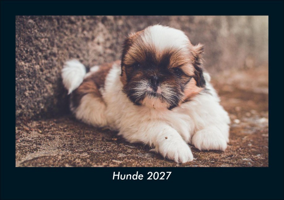 Hunde 2027 Fotokalender DIN A5 - Tobias Schmitt, Kevin Heber