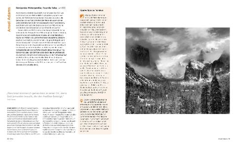 InsideView 1