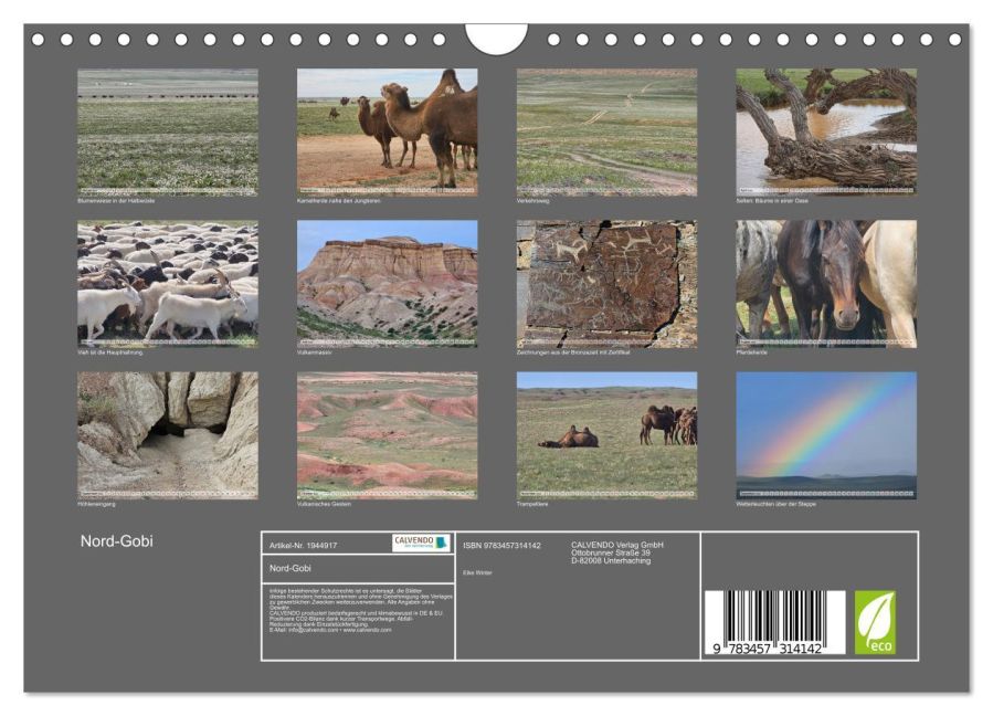 InsideView 5