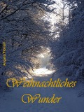Cover-Bild zum Titel 'Weihnachtliches Wunder' von 'Angela Planert'