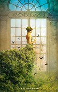 Cover-Bild zum Titel 'Soolavi' von 'Aavid von Herket'